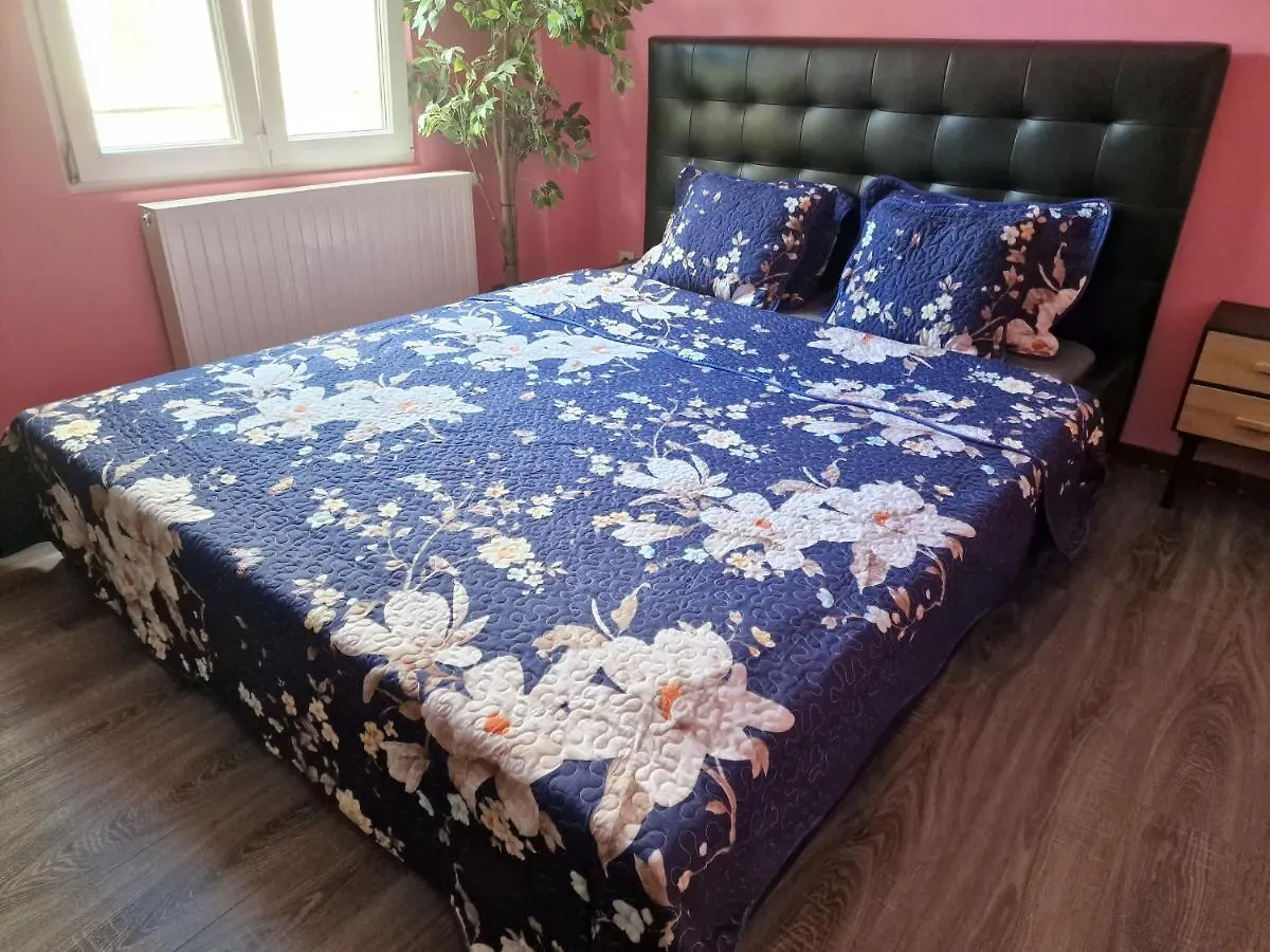 Right Choice Room Antwerp Belgium